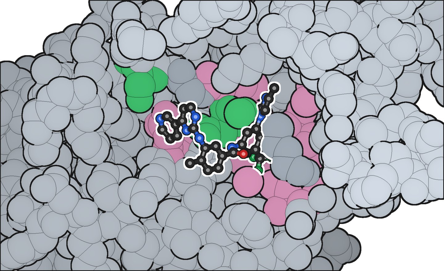 3D view of nilotinib in the binding pocket of ABL kinase; pocket residues that hydrogen-bond to it are green and hydrophobic contacts are pink